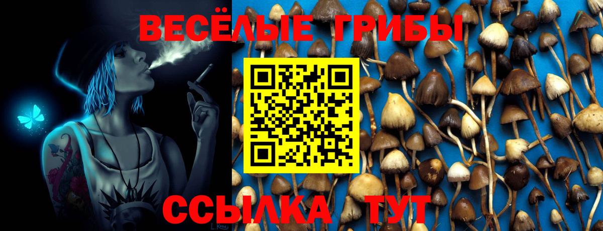 Галлюциногенные грибы Psilocybine cubensis Лангепас